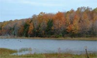 Pond at Heiberg Forest